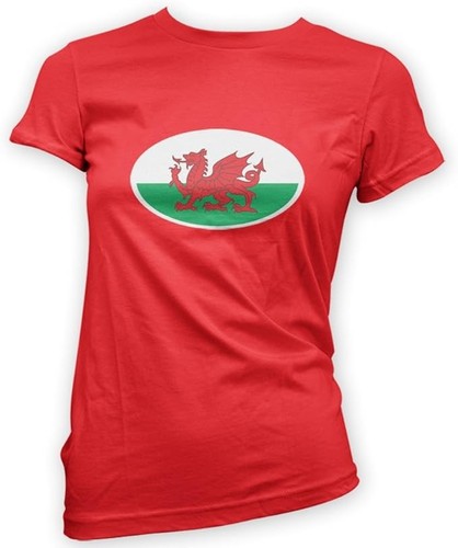 Welsh flag womens shirt 14 - welsh, t-shirt