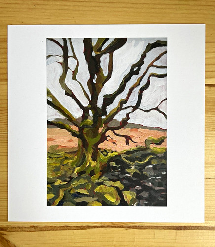 Lake district tree - lake,