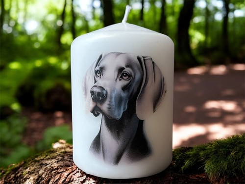Weimaraner dog candle - weimaraner, x