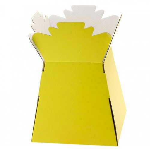 Yellow florist bouquet box - yellow,