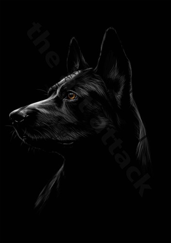 Dutch shepherd portrait metal