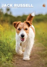 Jack Russell 2026 Calendar