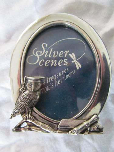 Silver scenes wise owl teacher - silver,