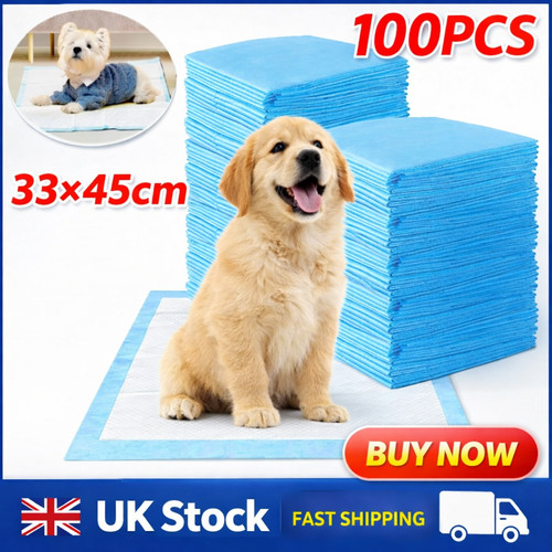 100pcs puppy training - 100pcs,