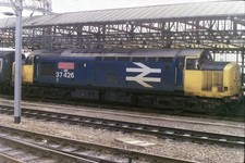 35mm Photo Negatives x50