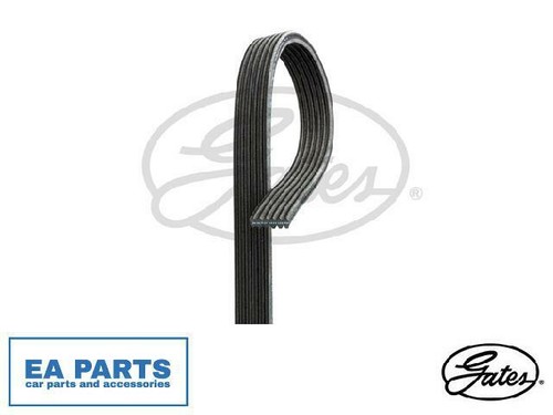 Ribbed belts for caddy - for, vw