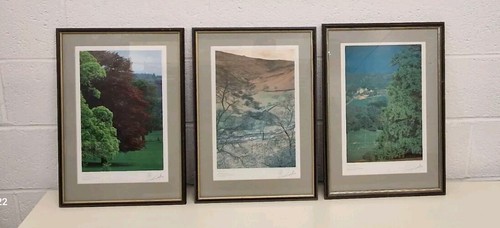 Limited edition pictures - limited,