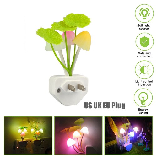 Mushroom lotus leaf - mushroom,