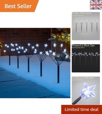 Magical Floating Star Path