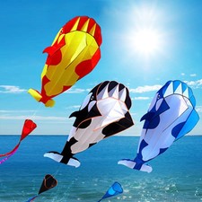 C-3D Kite Huge Frameless Soft