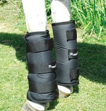 Half Length WATERPROOF Horse