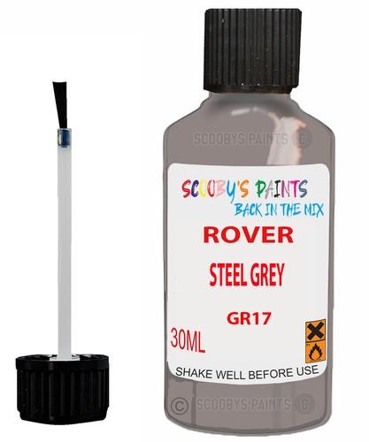 Paint for rover - paint,