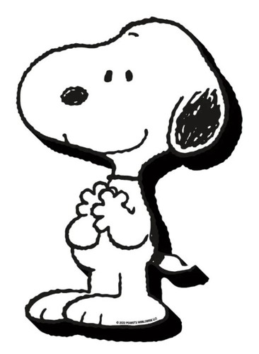 Peanuts snoopy extra large - peanuts,