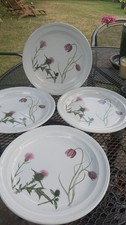 Portmeirion Pottery Queen's Hidden Garden Salad Plates. Set Of Four.  Rare