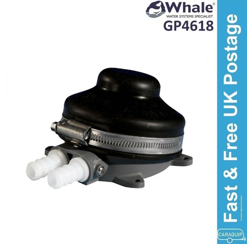 Whale babyfoot freshwater foot - whale,