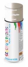For Audi Spray Paint Aerosol