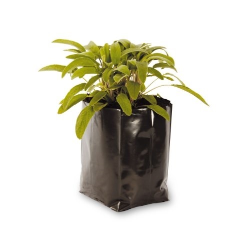 Poly pots professional plastic - poly,