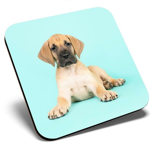 Square single coaster - -, great