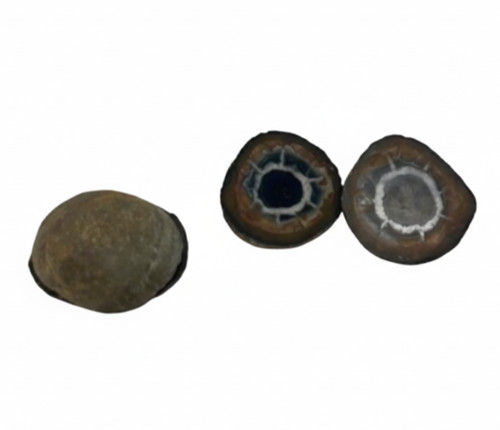 Rare septarian dragon stone - dragon,