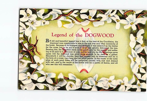 Postcard legend the - postcard, dogwood