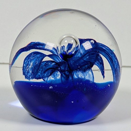 Stunning cobalt blue flower - blue,