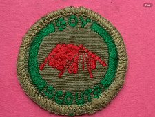 Wall Tent Rectangular Boy Scout Camper Proficiency Badge Ribbon Unbound Troop