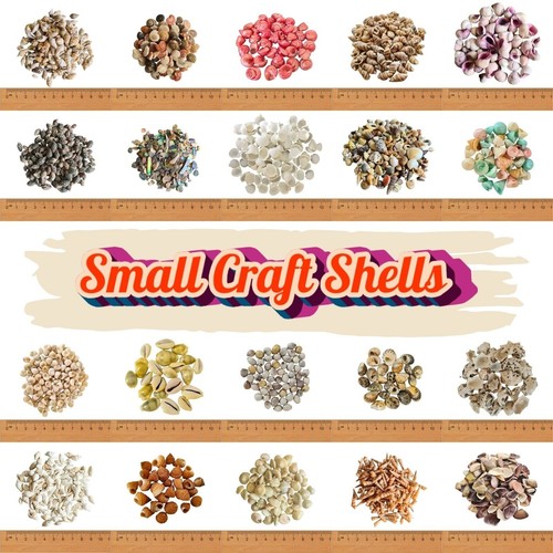 Tiny micro seashells - 30,