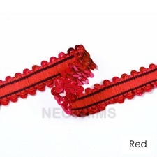 Stretch Sequin Elastic