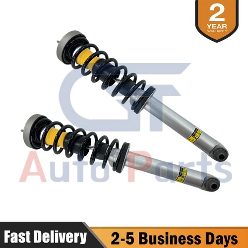 Rear shock absorbers struts - 2x,