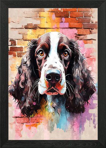 English springer spaniel - springer,