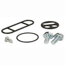 Fuel valve repair kit fits