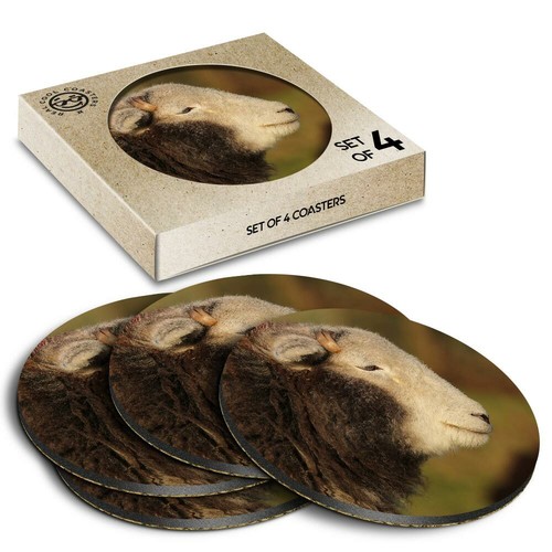 Boxed round coasters - 4,