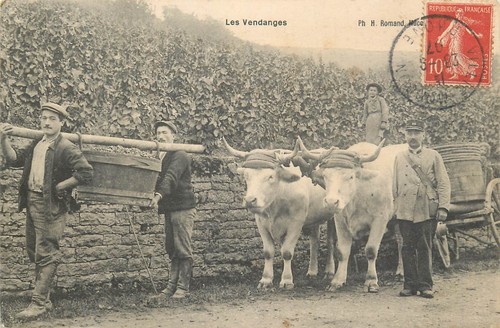 The basque country team - the,