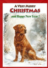 Labrador Retriever Red Fox Dog