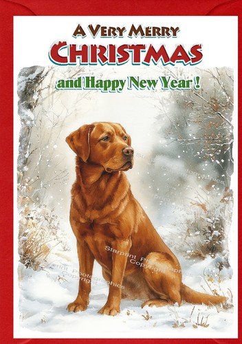 Labrador retriever red fox dog - labrador,