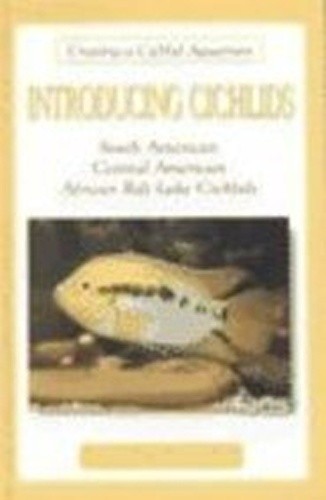 Introducing cichlids creating - cichlids, (creating