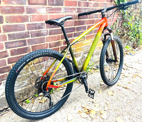 Specialized elite custom mtb - specialized,