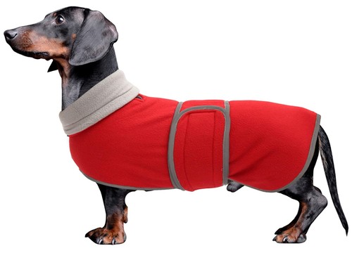 Dachshund coats sausage dog