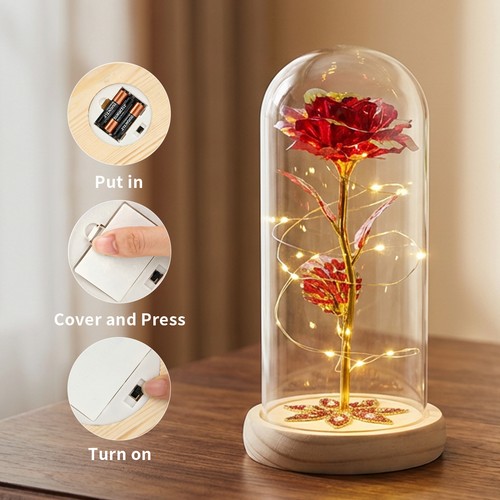 Light flower rose - light,
