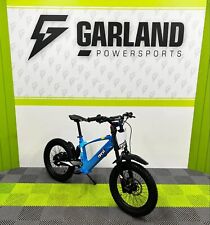 REVVI 18" BLUE 36V500W MOTOR