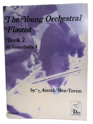 The young orchestral - the, flautist