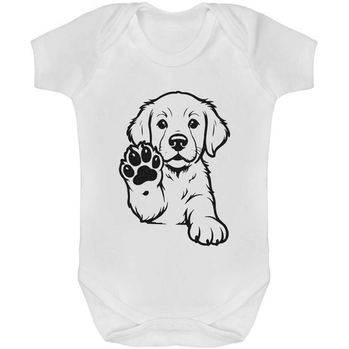 Golden retriever puppy - retriever, baby