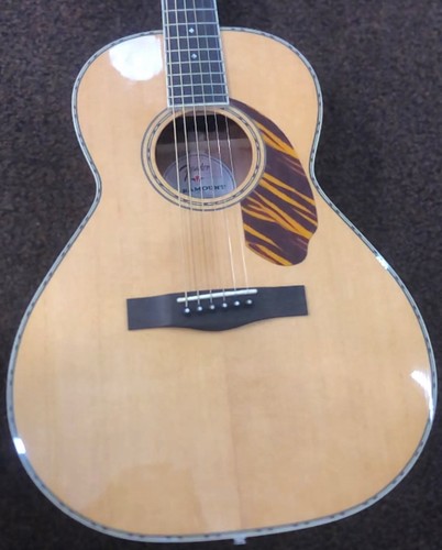 Fender acoustic electric - fender,