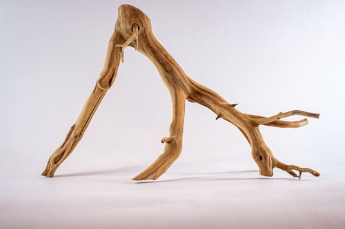 Manzanita aquarium driftwood - manzanita,