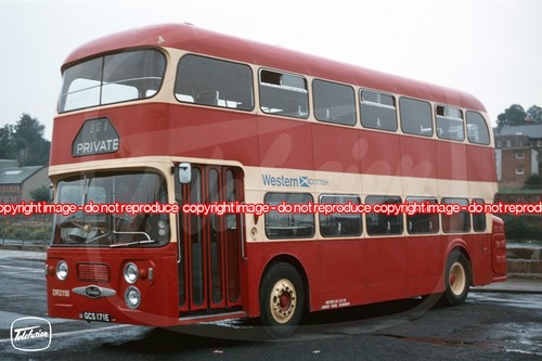 Bus photo western - bus,
