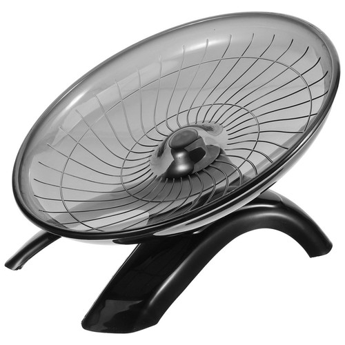 Chinchilla wheel exercise - chinchilla,