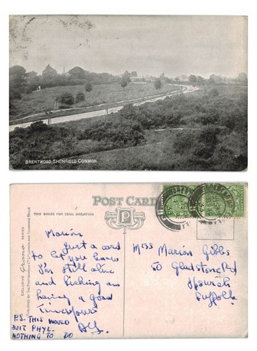 Vintage postcard shenfield - vintage,