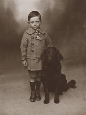 FLAT COATED RETRIEVER CHARMING