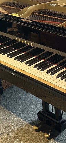 Yamaha grand 1978 - g5,