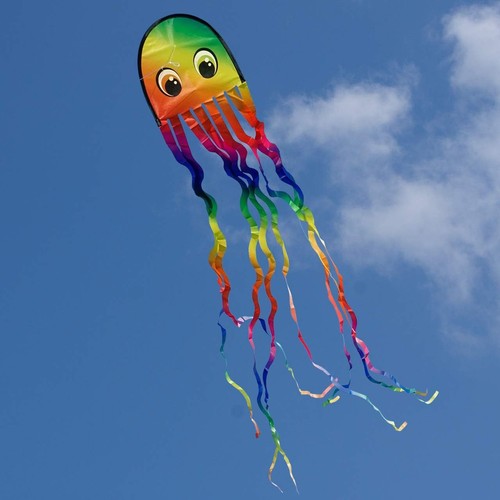 Octupus draki rainbow for - octupus, rainbow,